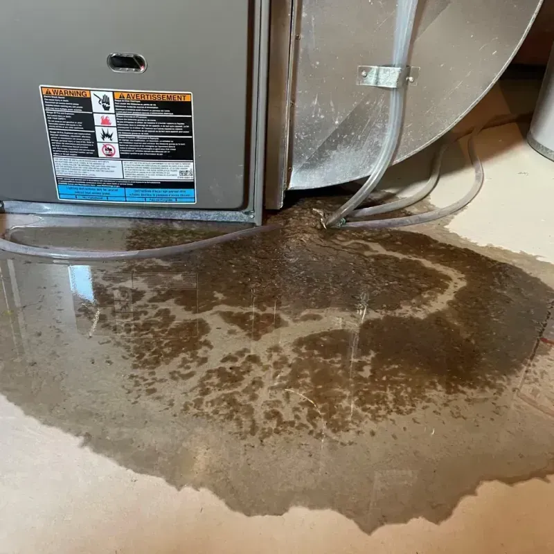 Appliance Leak Cleanup in Islip, NY